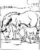 1020.jpg
